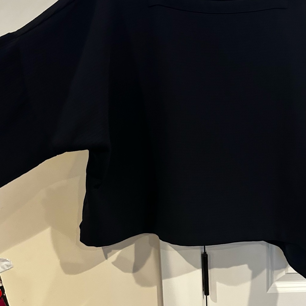 Club Monaco Elegant Black Crop Top